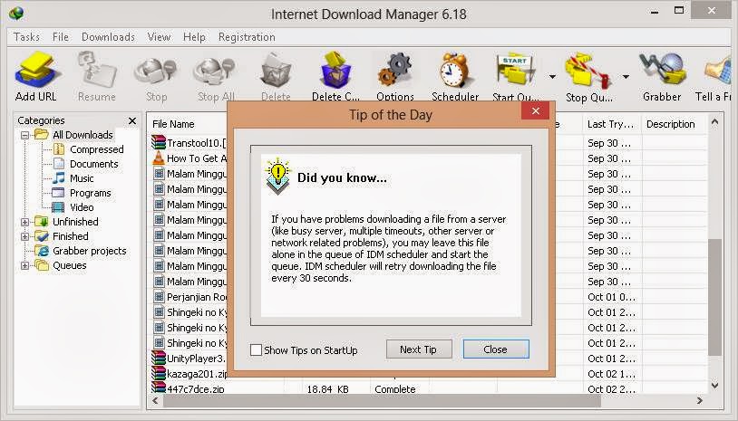 IDM Crack Build 8 + Serial Keys Full Version is Here internet manager full version patch file